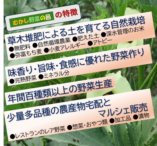 tokucho