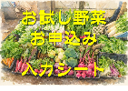 otameshi