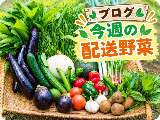haisou-yasai