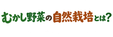 t-mukasi